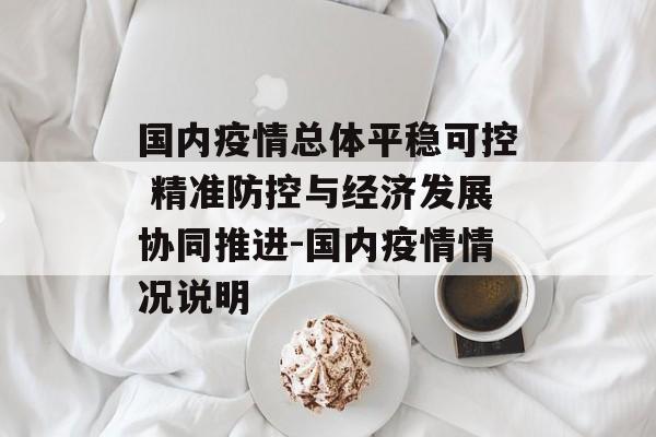 国内疫情总体平稳可控 精准防控与经济发展协同推进-国内疫情情况说明