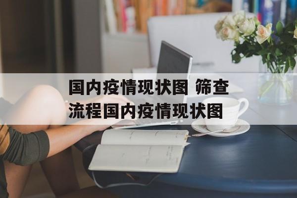国内疫情现状图 筛查流程国内疫情现状图